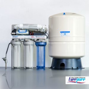 EVERPURE RO (Reverse Osmosis) Water Purifier 100 GPD with 40L Buffer Tank- 040