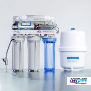 EVERPURE RO (Reverse Osmosis) Water Purifier 50 GPD with 11L Buffer Tank-041