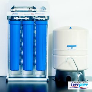 EVERPURE RO (Reverse Osmosis) Water Purifier 400 GPD with 40L Buffer Tank (Taiwan)- 042