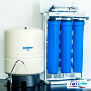 EVERPURE RO (Reverse Osmosis) Water Purifier 400 GPD with 40L Buffer Tank (China)- 043