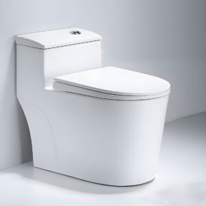 MARQUIS Single Piece Commode, Model C70076