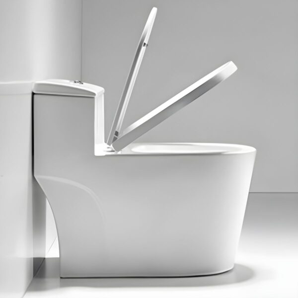 MARQUIS Single Piece Commode, Model C70076