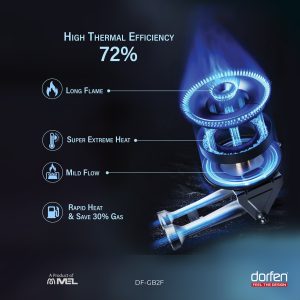 DORFEN Built-in-HOB Glass Top 2 Gas Burner, DF-GB2F